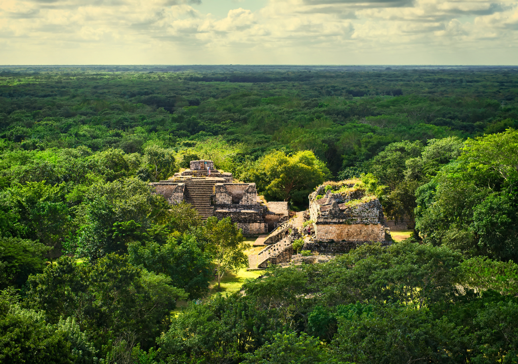 Peninsula de Yucatan; Mexico; bosques; economia verde; ecosistemas; deforestacion; preservacion ambiental Peninsula de Yucatan; Mexico; bosques; economia verde; ecosistemas; deforestacion; preservacion ambiental