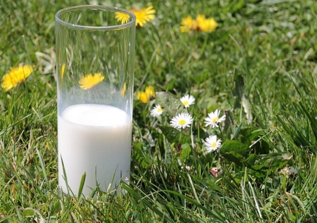 Milch und Pflanzen
