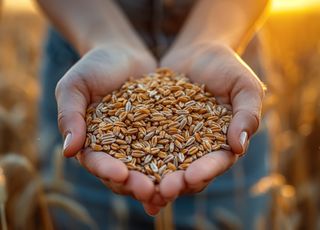 Devrions-nous arrêter de manger du gluten ? 