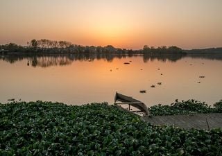 Saiba quais os rios estão a ser renaturalizados para combater secas e cheias em Portugal