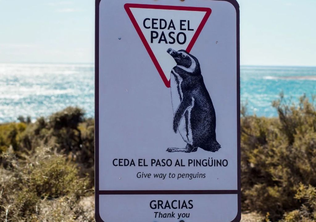 Día de la Concientización por los Pingüinos