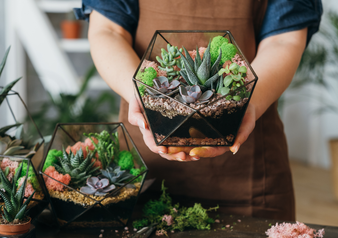 En algunas culturas, regalar plantas en el Día de la Madre se ha convertido en una tradición que significa respeto y gratitud.