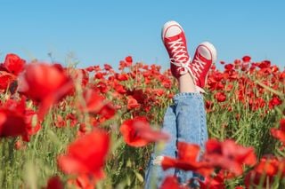 Día de la primavera, ¿cuándo llega el equinoccio?