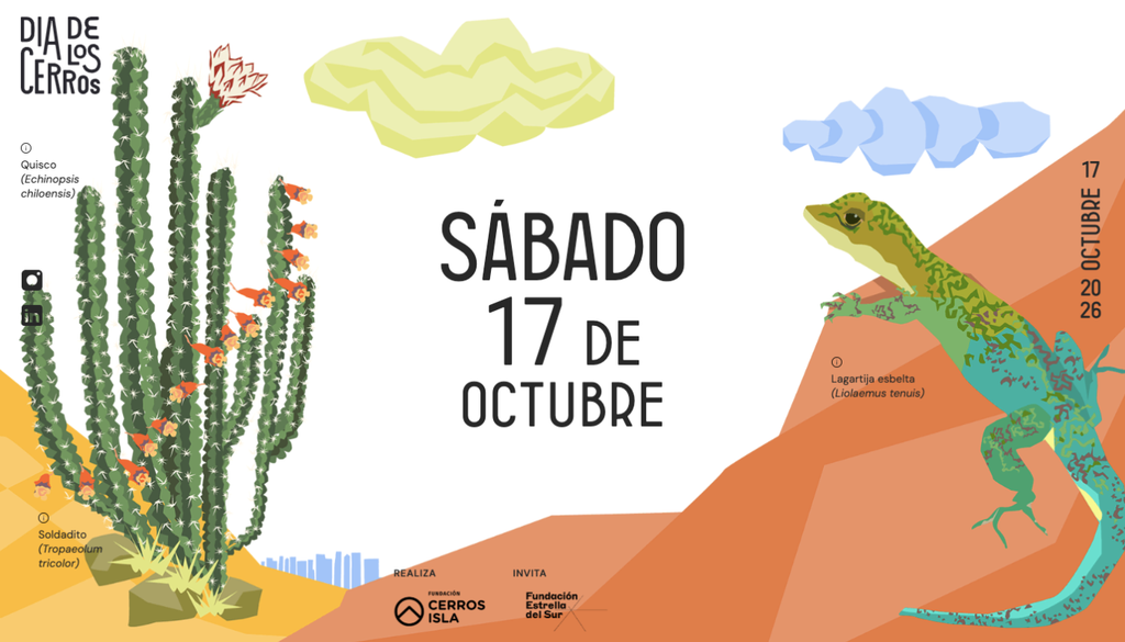 Día de los Cerros 2026 Chile. El Día de los Cerros invita a fomentar el cuidado de la naturaleza. Crédito: diadeloscerros.cl.