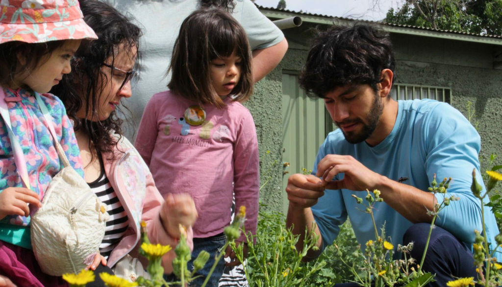 “El viaje de las semillas” en San Bernardo. Actividad para aprender sobre los requerimientos de las semillas en San Bernardo. Crédito: diadeloscerros.cl.