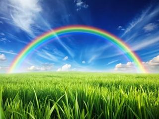 Día del arcoíris 2025: Fomentar la neurodiversidad y los Objetivos de Desarrollo Sostenible (ODS) de las Naciones Unidas