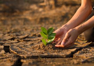 24 de outubro: Dia Internacional contra as Alterações Climáticas