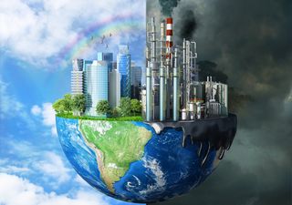 Día internacional contra el Cambio Climático: lo que hay que saber