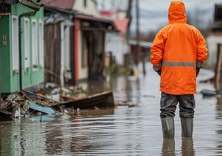  Día Internacional de Acción Climática 2025: “Vivir en un planeta saludable, asegura nuestra existencia como especie