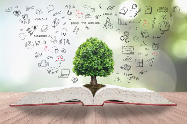 Educación Ambiental Educación Ambiental