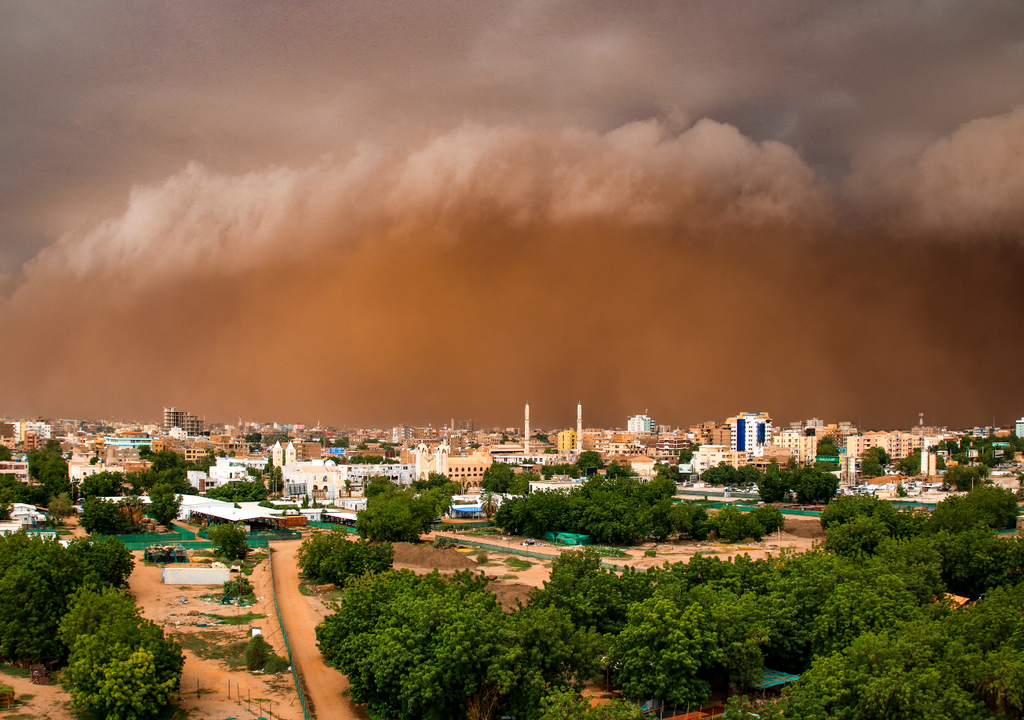En algunos lugares del mundo, la frecuencia de este fenómeno ha incrementado; dejando complicaciones para su mitigación y generando nuevos riesgos para todos los seres vivos.