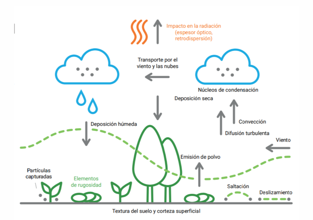 Resumen de los procesos de tormentas de arena y polvo por Lu y Shao 2001. Imagen tomada del Compendio sobre las Tormentas de Arena y Polvo UNCCD