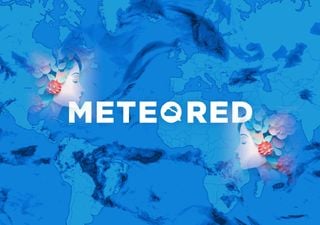 Día Internacional de la Mujer: conoce nuestras redactoras de Meteored Chile