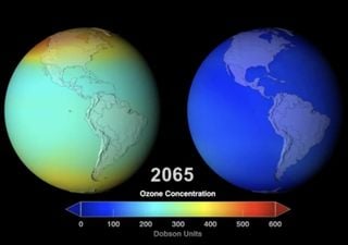 Día Internacional de la Preservación de la Capa de Ozono, un gas que posibilita la vida y moldea el clima del planeta 