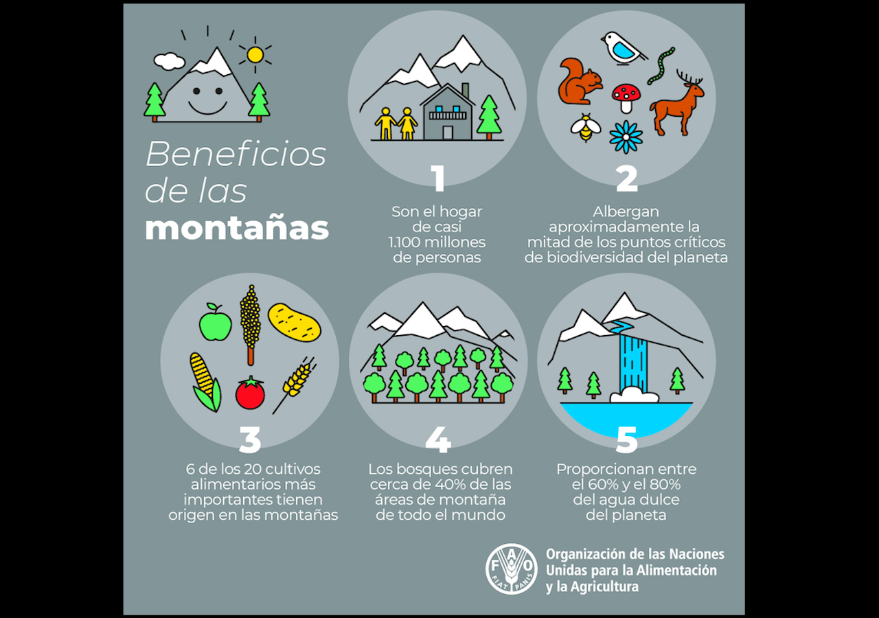 Supervivencia en Montaña 2023  De acuerdo con lo establecido en