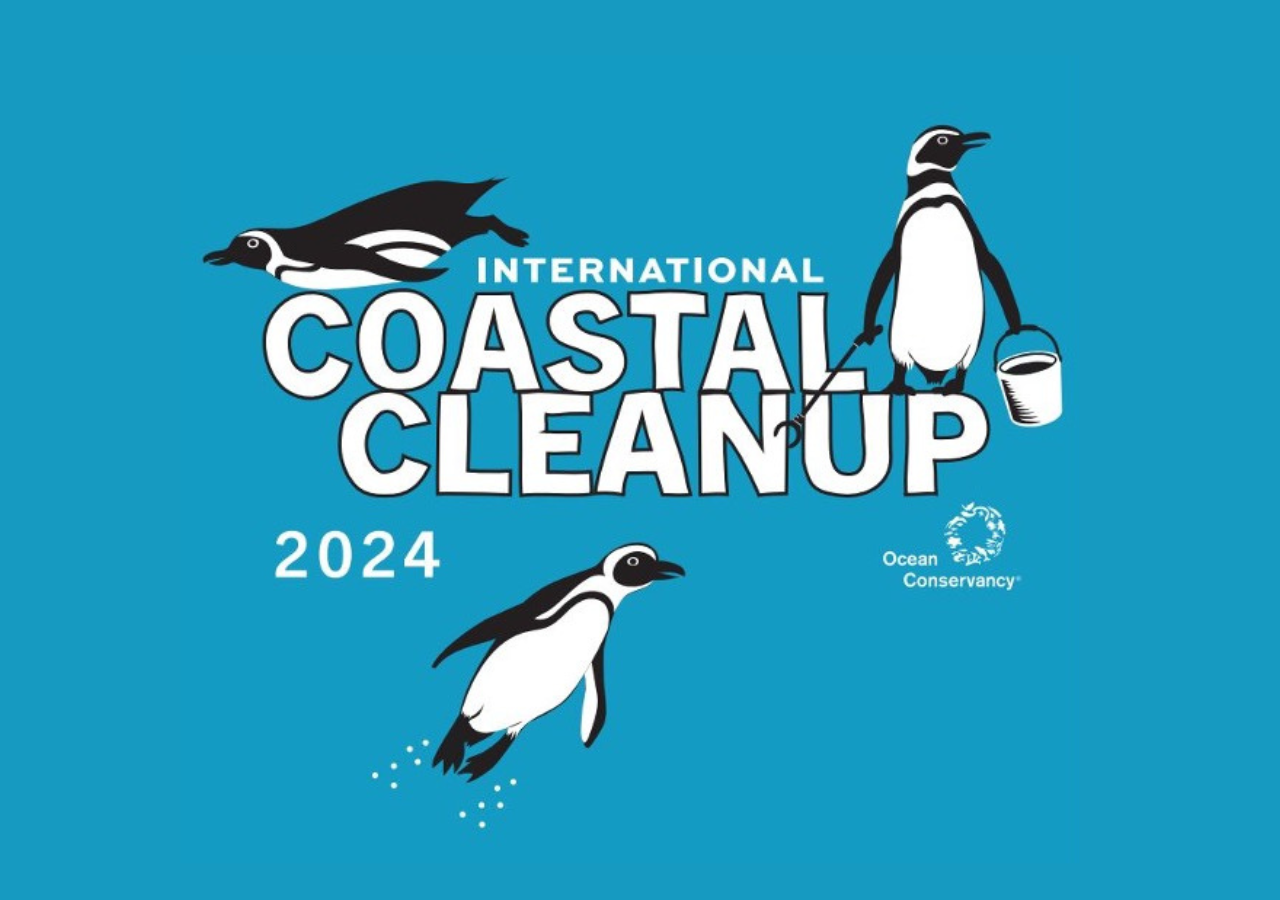 Este sábado 21 de septiembre, el mundo entero se une para limpiar las costas de la basura y desechos humanos para combatir la contaminación de los ecosistemas marinos.