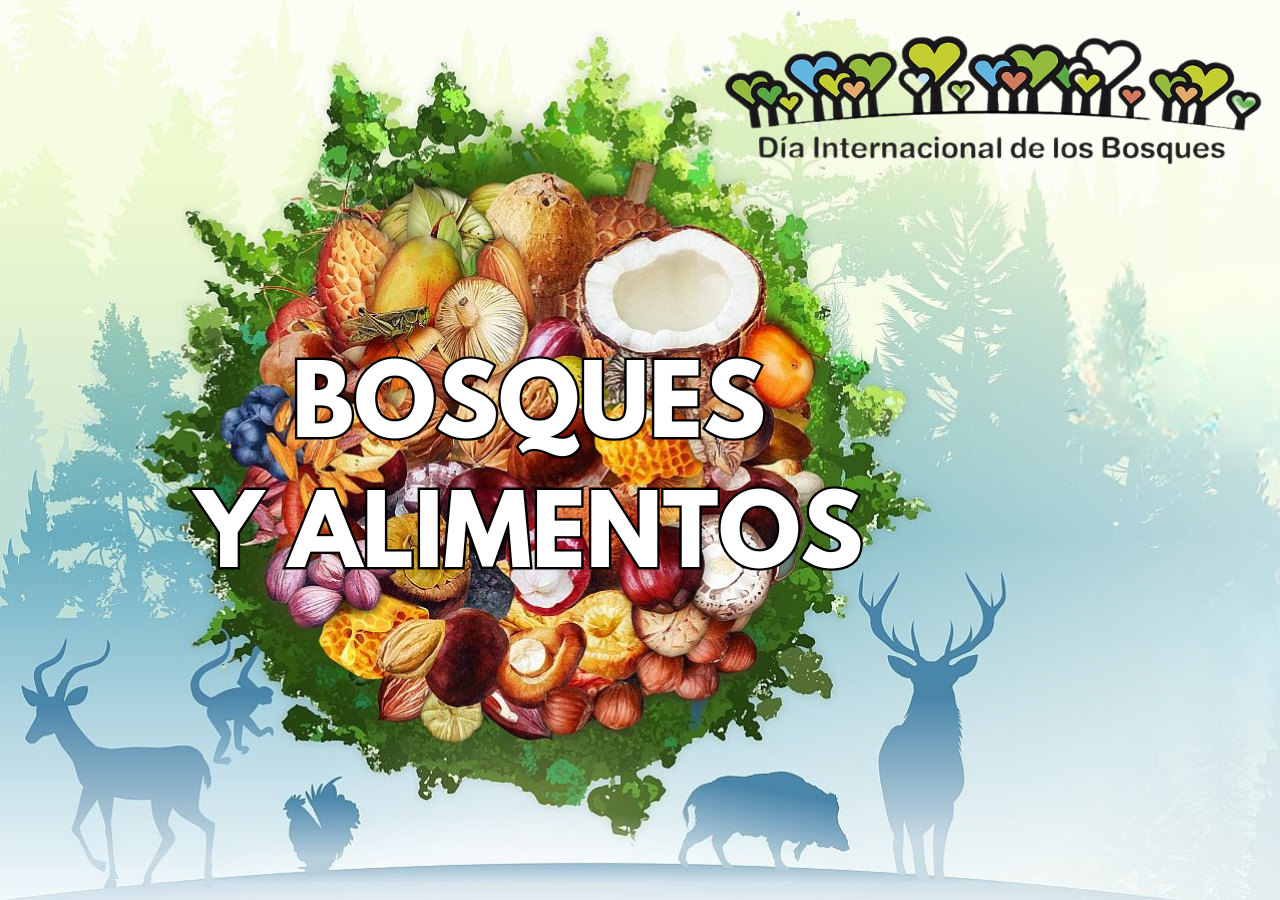 Bosques: fuentes de vida y alimento para el mundo. Protejámoslos para un futuro sostenible. Imagen adaptada de la página oficial de la FAO.