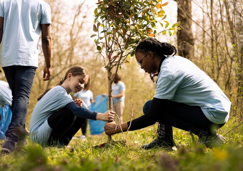 reforestación; bosque; sustentable; vida; conservación; restauración; biodiversidad; educación ambiental; naturaleza reforestación; bosque; sustentable; vida; conservación; restauración; biodiversidad; educación ambiental; naturaleza
