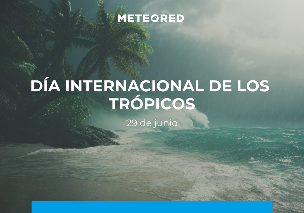 Desde el 2016, este día se celebra para visibilizar los desafíos que enfrentan las regiones tropicales.