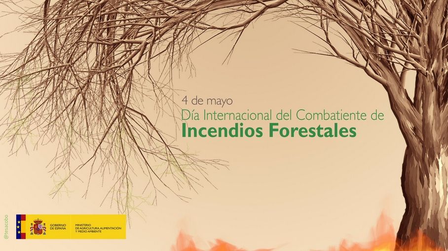 Día Internacional Del Combatiente De Incendios Forestales Día Internacional Del Combatiente De Incendios Forestales