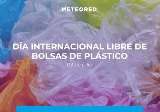 Día Internacional libre de bolsas de plástico 2025: Sin contaminación por plásticos