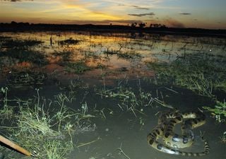 Día Mundial de la Biodiversidad, somos parte de la solución