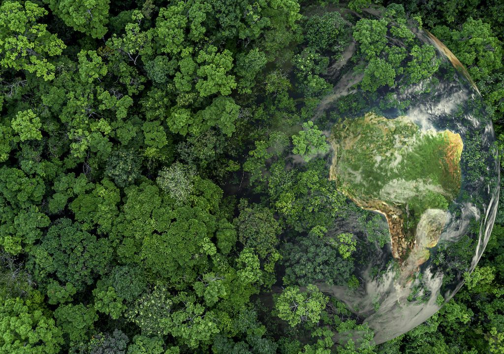 Día Mundial de la Salud Ambiental