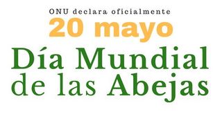 Día Mundial de las abejas, 20 de mayo: tan pequeñas y tan importantes