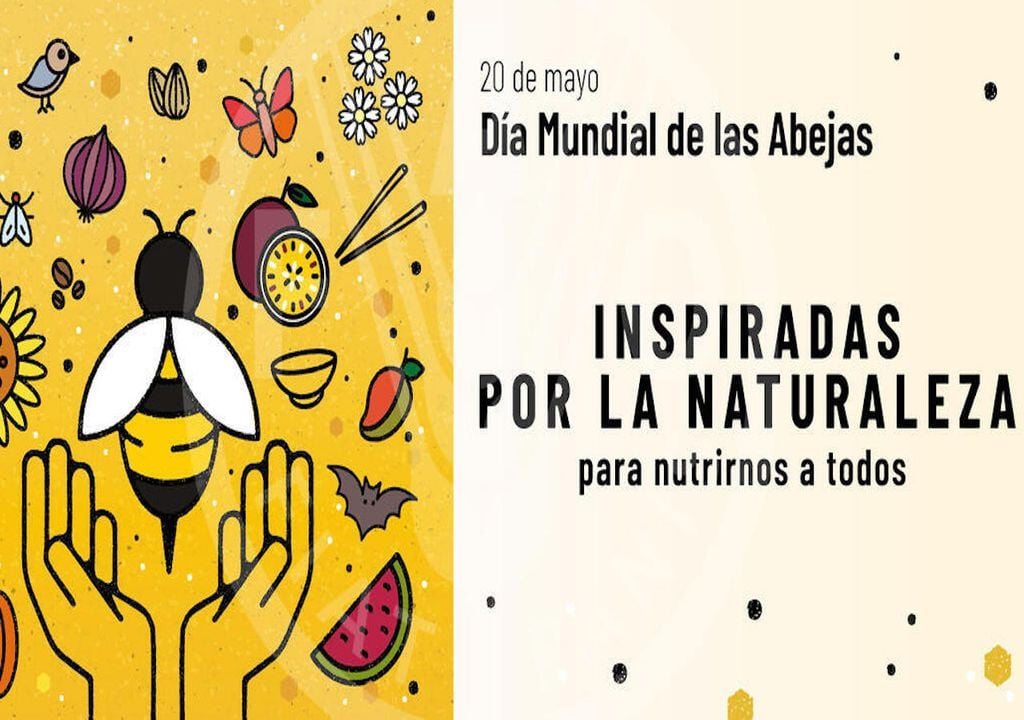 Día mundial de las abejas Día mundial de las abejas