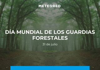 Día Mundial de los Guardias Forestales 2025, “Guardabosques: impulsando la conservación transformadora”