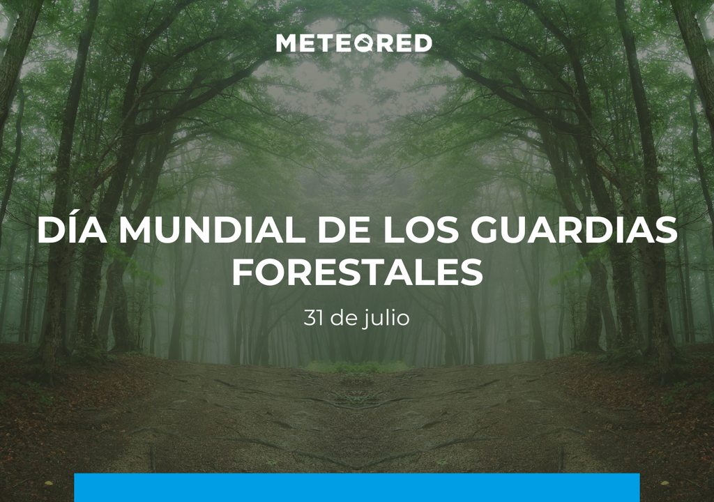 El Día Mundial de los Guardabosques nació en 2007 como celebración del 15.º aniversario de la IRF. El Día Mundial de los Guardabosques nació en 2007 como celebración del 15.º aniversario de la IRF.