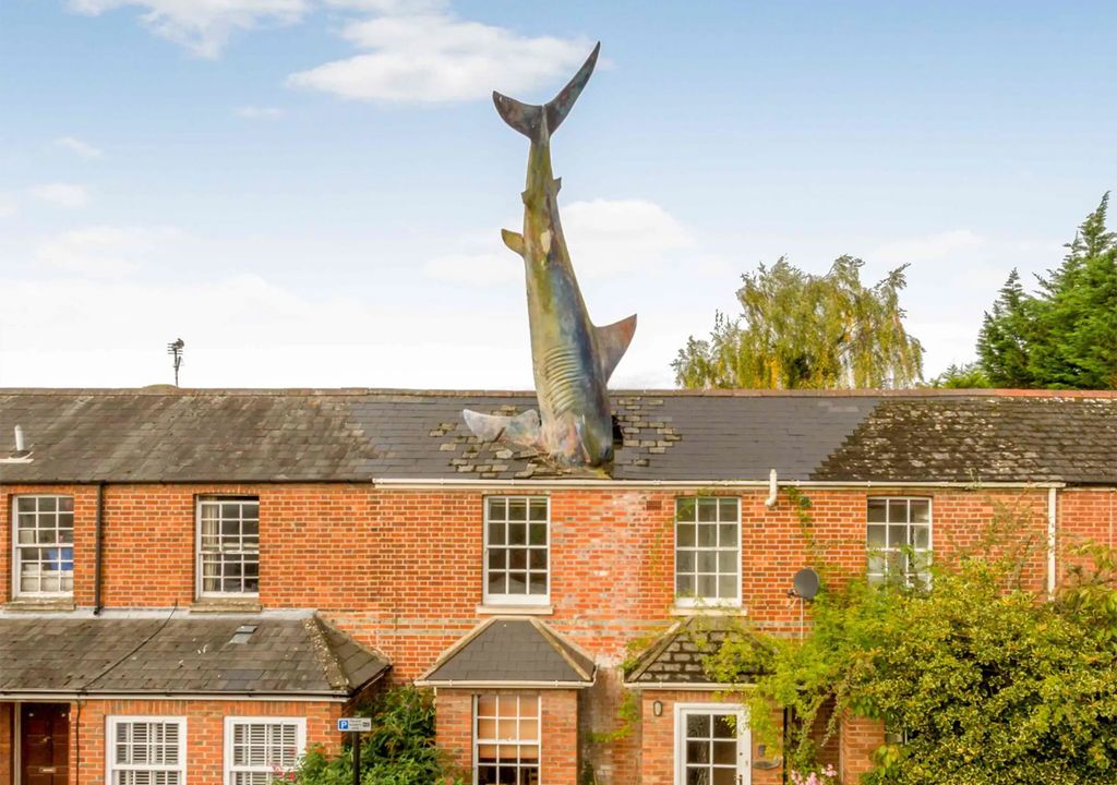 Headington shark