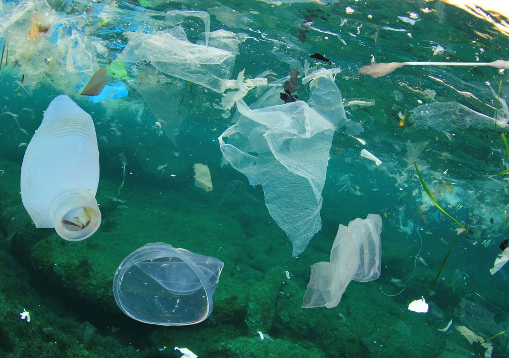 Acción humana en los océanos