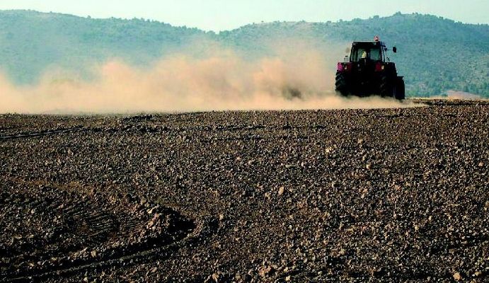 Día Mundial De Lucha Contra La Desertificación Y La Sequía, 17 De Junio Día Mundial De Lucha Contra La Desertificación Y La Sequía, 17 De Junio