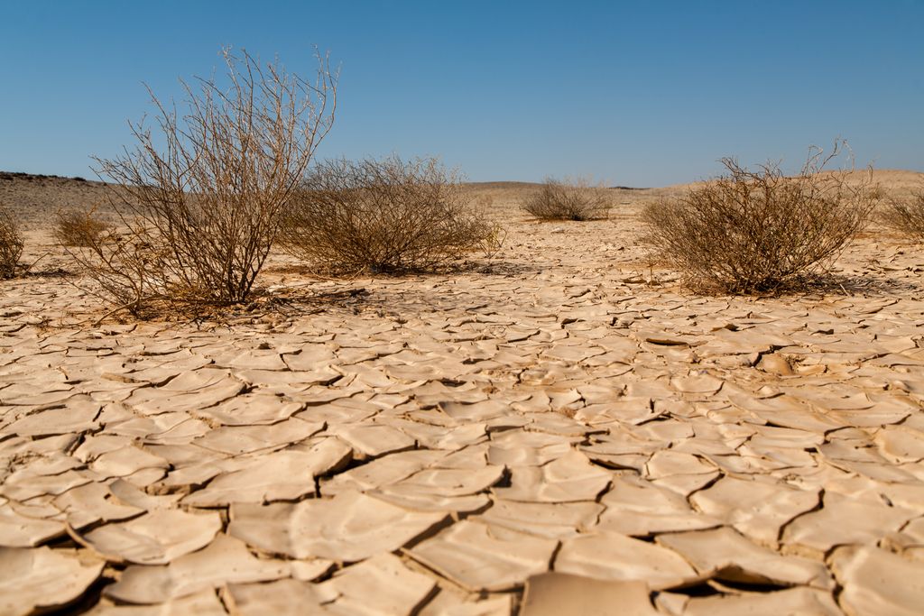 Sequía y desertificación