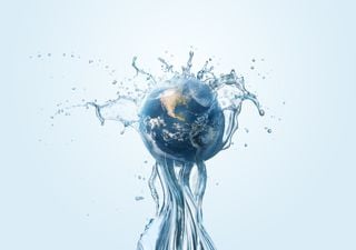 Día Mundial del Agua 2023: agua y saneamiento gestionados de forma segura