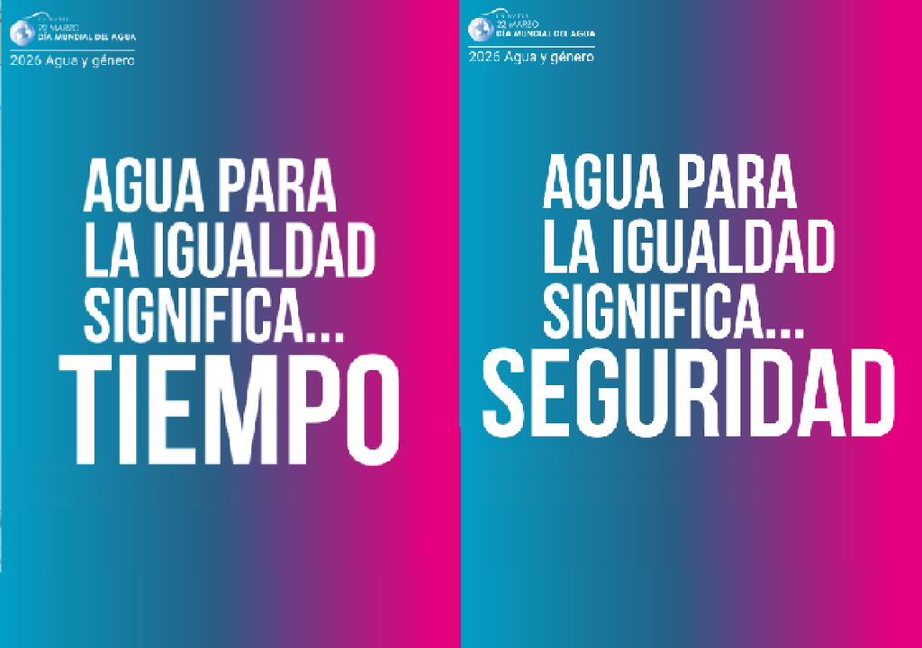 Son las que se encargan de recolectar el agua, gestionarla, y también las que cuidan a quienes enferman debido al consumo de agua insalubre. Son ellas las que sacrifican su tiempo, salud, seguridad y oportunidades. Las mujeres y niñas son mayoritariamente las que se encargan de recolectar el agua y gestionarla; también las que cuidan a quienes enferman debido al consumo de agua insalubre. Son ellas las que sacrifican su tiempo, salud, seguridad y oportunidades. Créditos: ONU