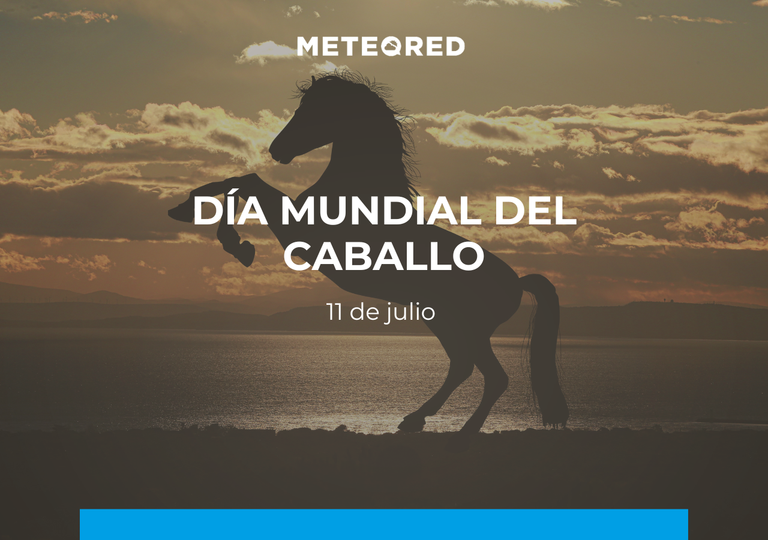Día Mundial del Caballo 2025: compañero noble, símbolo de libertad