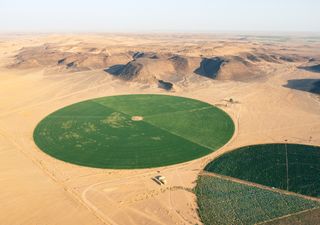 ¿Se pueden reverdecer los desiertos? Inversiones polémicas en el Día Mundial del Medio Ambiente