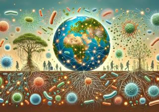Día Mundial del Microbioma: el universo miniatura que cuida tu salud y la del planeta