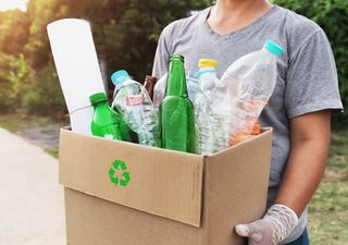 Día Mundial del Reciclaje 2024: derribamos mitos y te acercamos la agenda con actividades para que participes