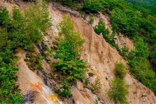 Día Mundial del Suelo