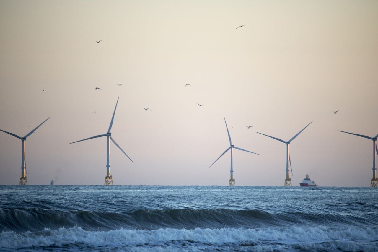 El Día Mundial del Viento pone de manifiesto la relevancia fundamental de la energía eólica.