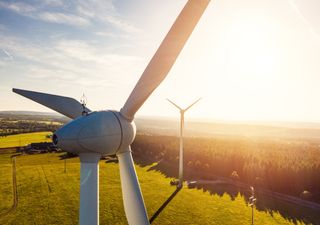 Día Mundial del Viento: gigantes de acero para salvar el planeta