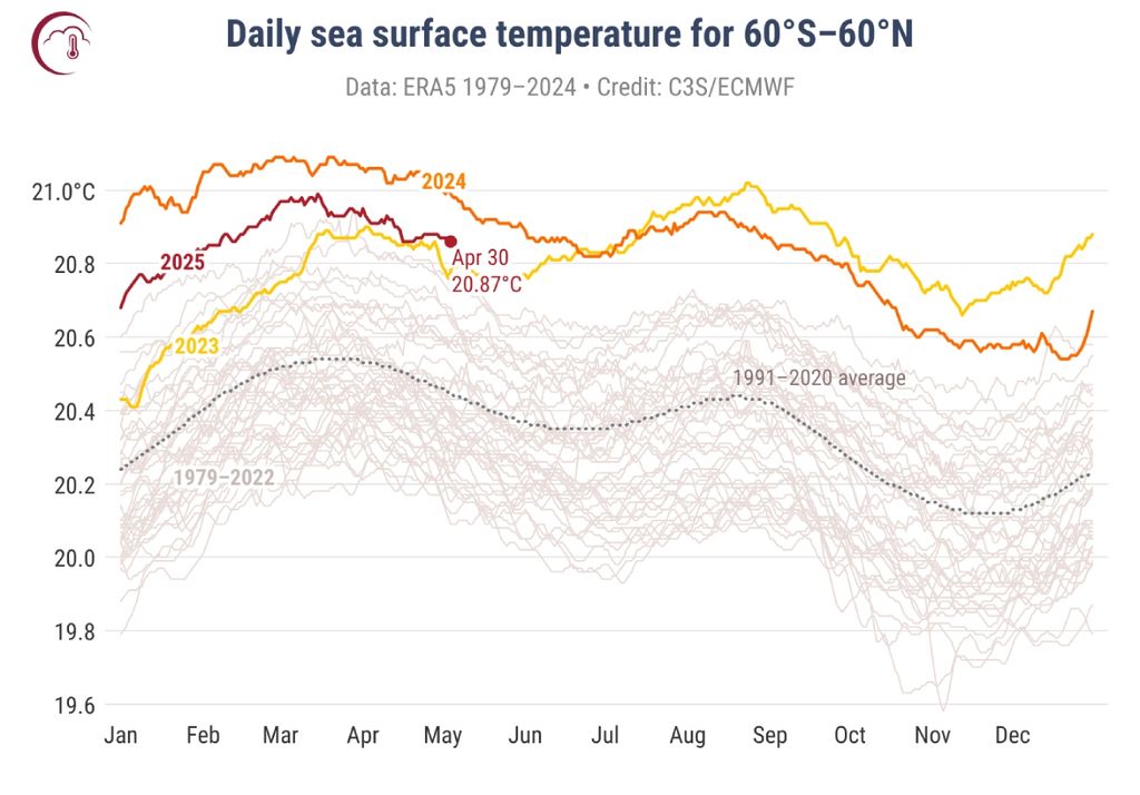 A temperatura da superfície do mar vem batendo recordes de aquecimento desde 2023. Créditos: Copernicus/ECMWF. A temperatura da superfície do mar vem batendo recordes de aquecimento desde 2023. Créditos: Copernicus/ECMWF.