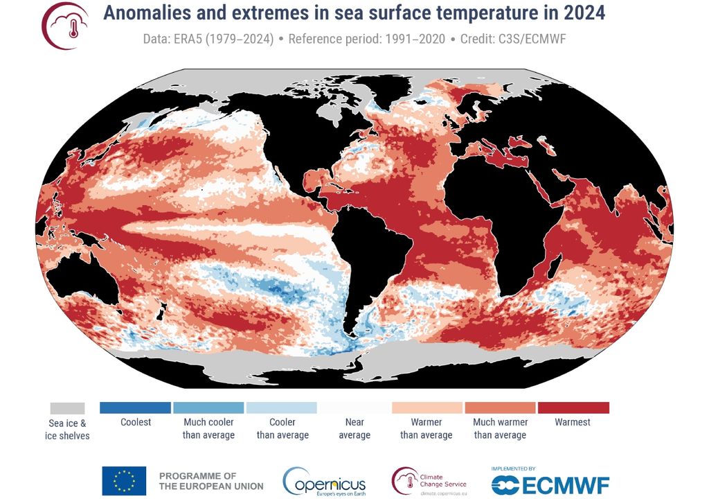 Anomalias e extremos de temperatura da superfície do mar em 2024. Créditos: Copernicus/ECMWF. Anomalias e extremos de temperatura da superfície do mar em 2024. Créditos: Copernicus/ECMWF.