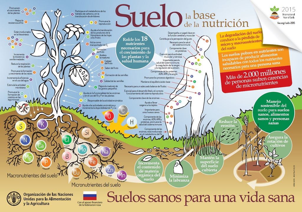 suelo; nutrición suelo; nutrición