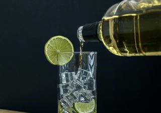 Día Nacional del Pisco en Chile: conoce las actividades que se harán en el centro y norte del país