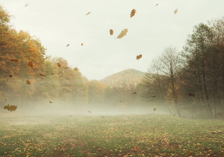 Navidad y Fin de A&ntilde;o, con lluvias y fr&iacute;o en M&eacute;xico: estas son las entidades que tendr&iacute;an probables cambios invernales
