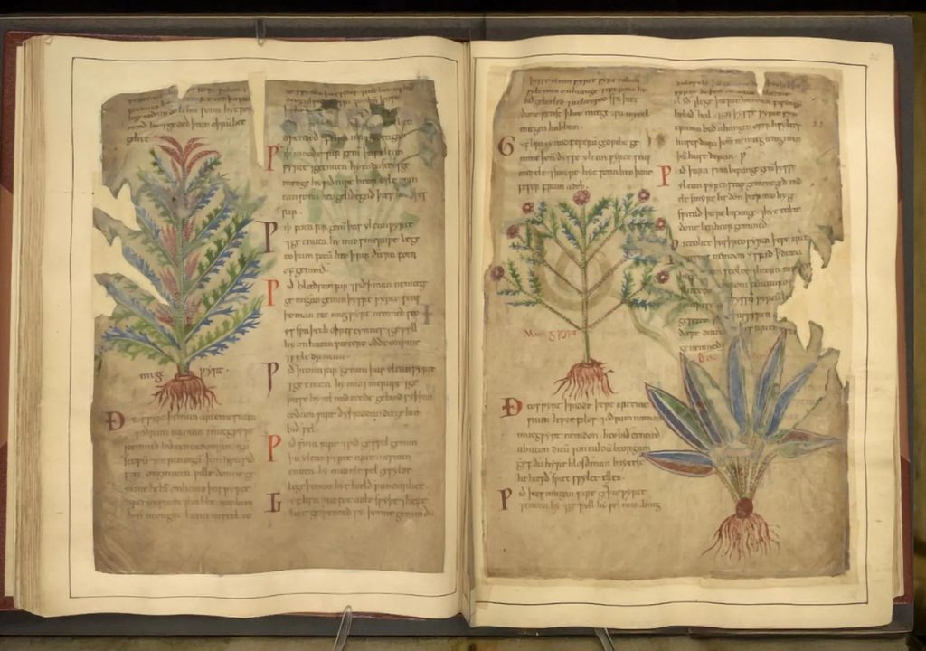 Manuscritos medievais antigos.